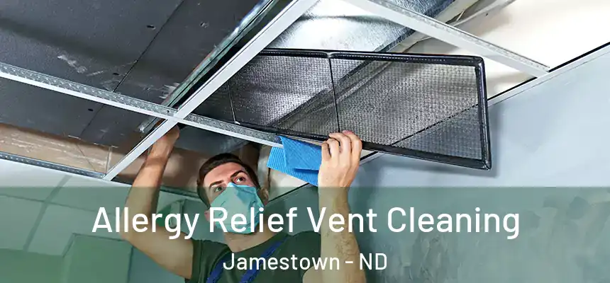  Allergy Relief Vent Cleaning Jamestown - ND