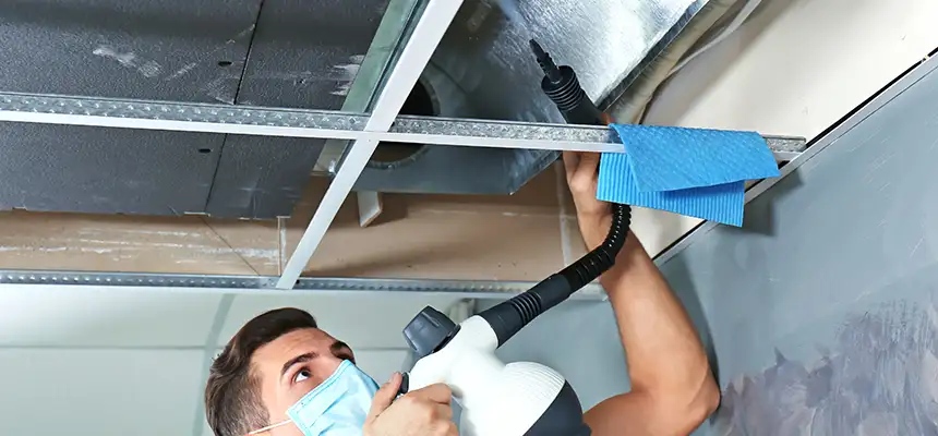 Our Air Duct Rodent Removal Services in Jamestown, ND