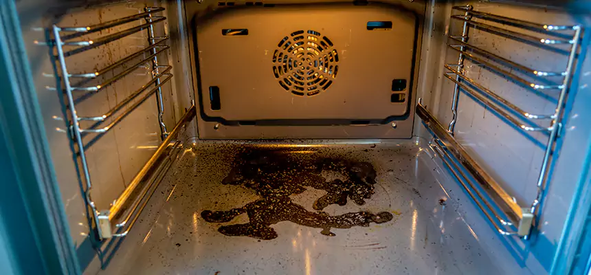 Our Dryer Vent Mold Cleaning Services in Jamestown, ND