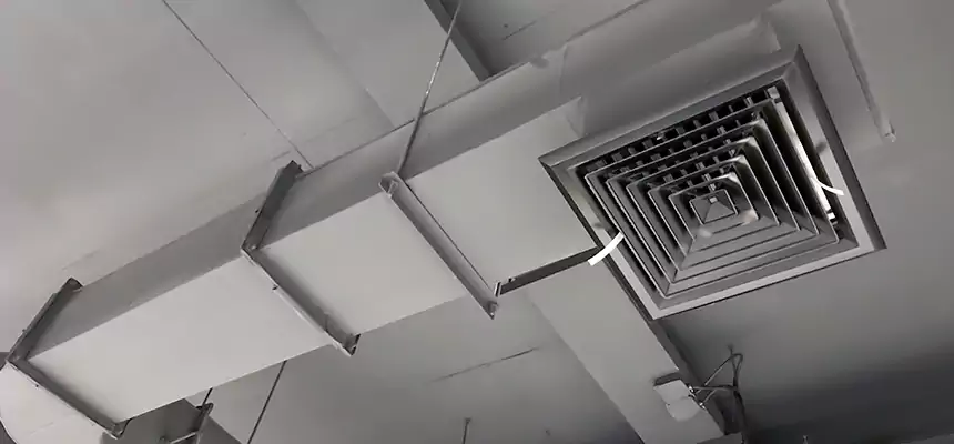 Our Pest Removal From Ducts Services in Jamestown, ND