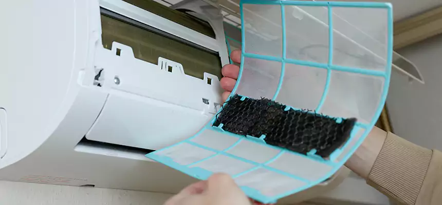 Gentle Ductwork Odor-Control Pet Dander Duct Cleaning in Jamestown, ND