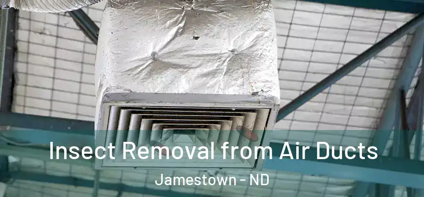  Insect Removal from Air Ducts Jamestown - ND