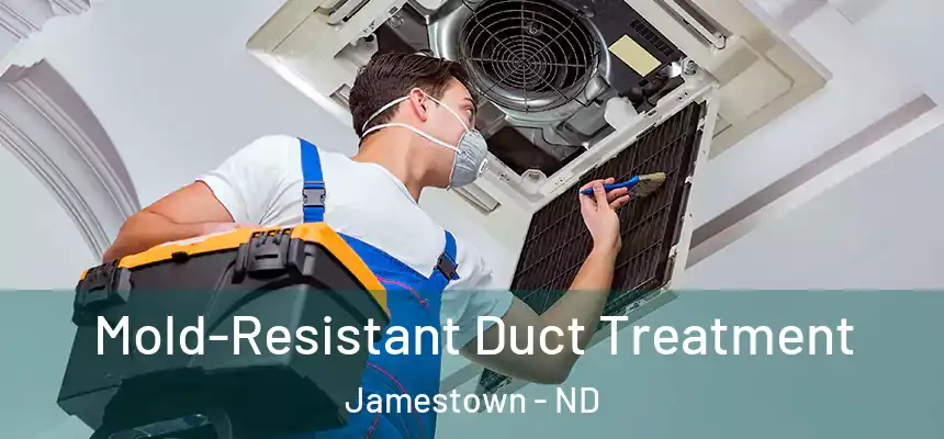  Mold-Resistant Duct Treatment Jamestown - ND