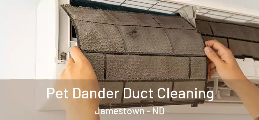  Pet Dander Duct Cleaning Jamestown - ND
