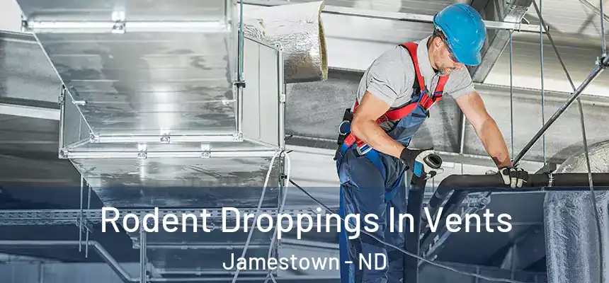  Rodent Droppings In Vents Jamestown - ND