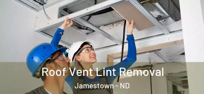  Roof Vent Lint Removal Jamestown - ND