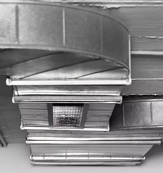 Professional Air Duct Pest Removal in Jamestown, ND