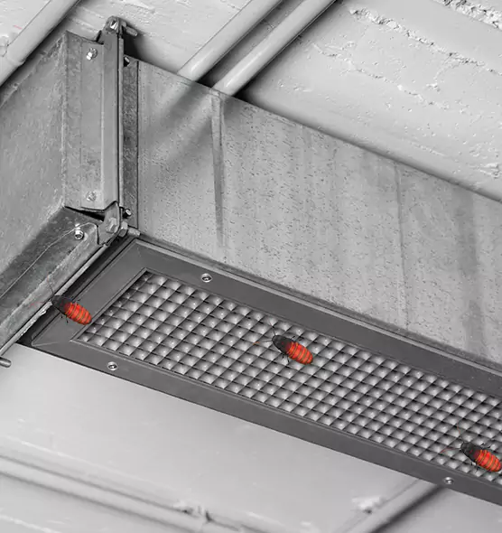 Affordable Insect Removal from Air Ducts in Jamestown, ND